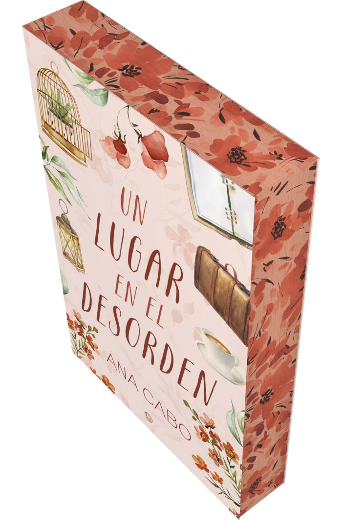 Un lugar en el desorden