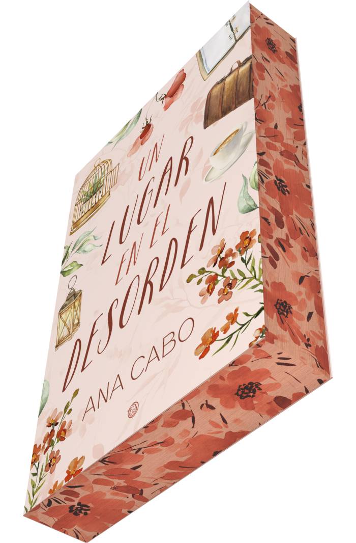 Un lugar en el desorden