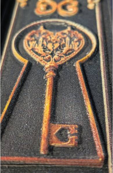 Belleza Feroz - Ed. Coleccionista